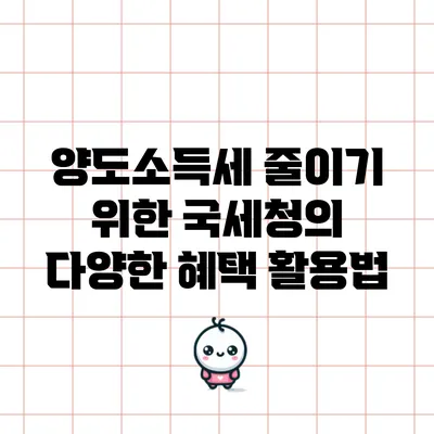 양도소득세 줄이기 위한 국세청의 다양한 혜택 활용법