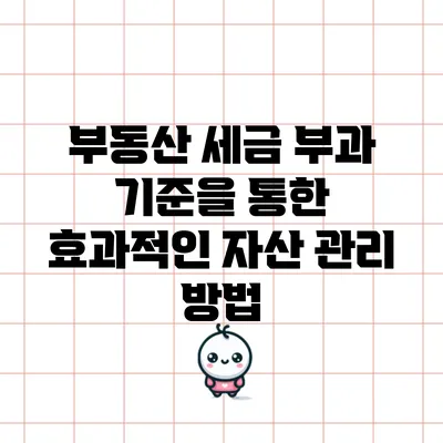 부동산 세금 부과 기준을 통한 효과적인 자산 관리 방법