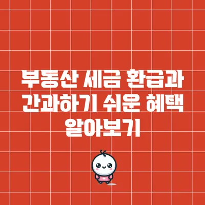 부동산 세금 환급과 간과하기 쉬운 혜택 알아보기