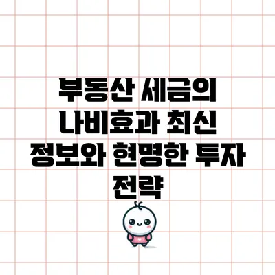 부동산 세금의 나비효과: 최신 정보와 현명한 투자 전략