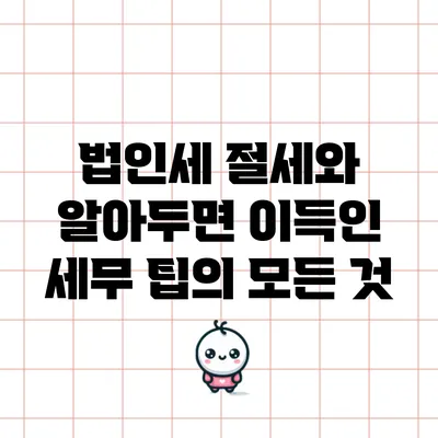 법인세 절세와 알아두면 이득인 세무 팁의 모든 것