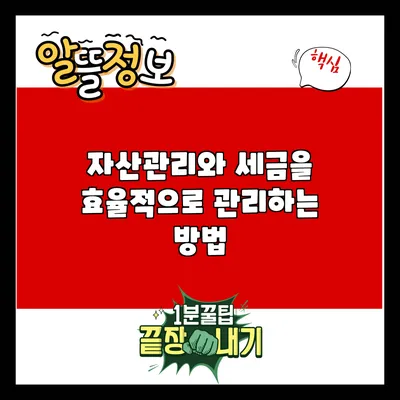 자산관리와 세금을 효율적으로 관리하는 방법