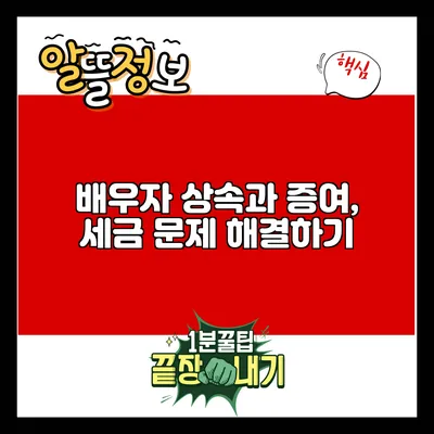 배우자 상속과 증여, 세금 문제 해결하기