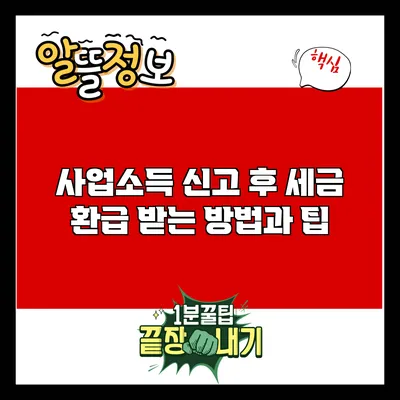 사업소득 신고 후 세금 환급 받는 방법과 팁