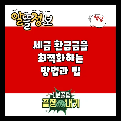 세금 환급금을 최적화하는 방법과 팁