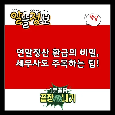 연말정산 환급의 비밀, 세무사도 주목하는 팁!